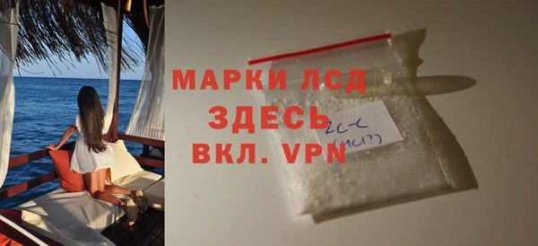 гашик Осташков