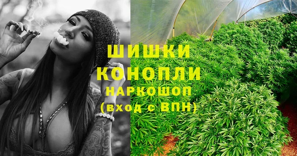 гашик Осташков