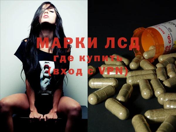 гашик Осташков
