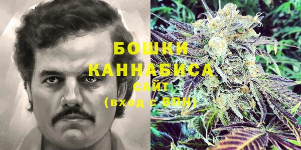 гашик Осташков