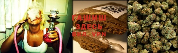 гашик Осташков